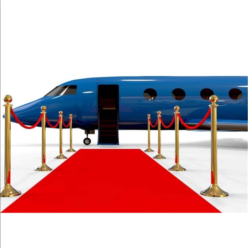 Vinyl Hollywood backdrop photography Red Carpet 10x7 ft